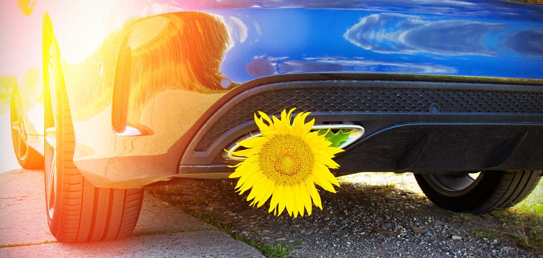 Spring car service and maintenance